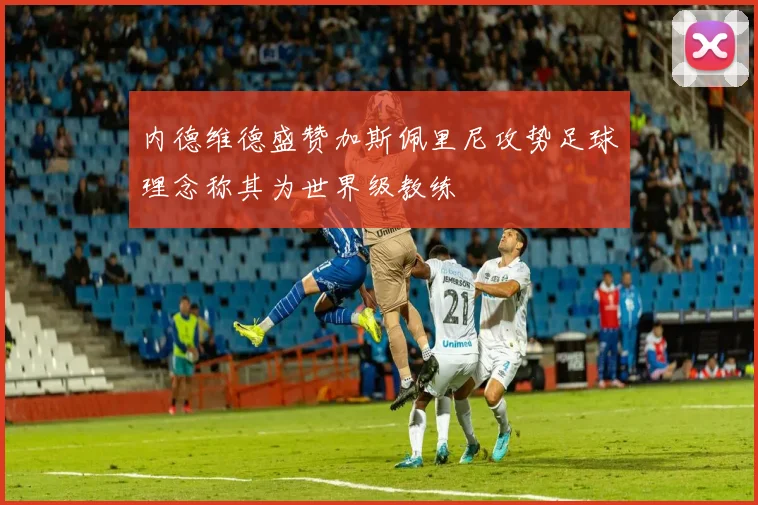 内德维德盛赞加斯佩里尼攻势足球理念称其为世界级教练