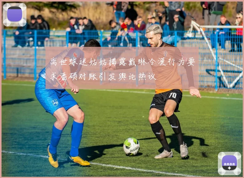 离世球迷姑姑揭露戴琳冷漠行为要求潘硕对账引发舆论热议