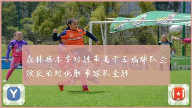 森林狼本季对胜率高于五成球队全败反而对低胜率球队全胜
