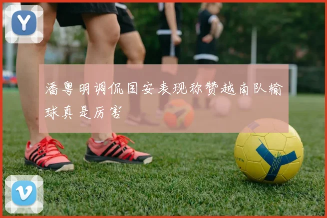 潘粤明调侃国安表现称赞越南队输球真是厉害