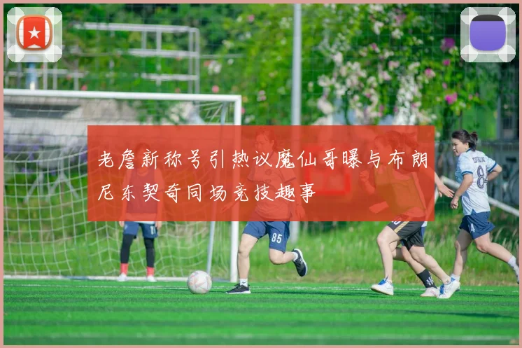 老詹新称号引热议魔仙哥曝与布朗尼东契奇同场竞技趣事